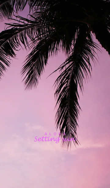 [LINE着せ替え] ALOHA -Setting sun- 12.の画像1