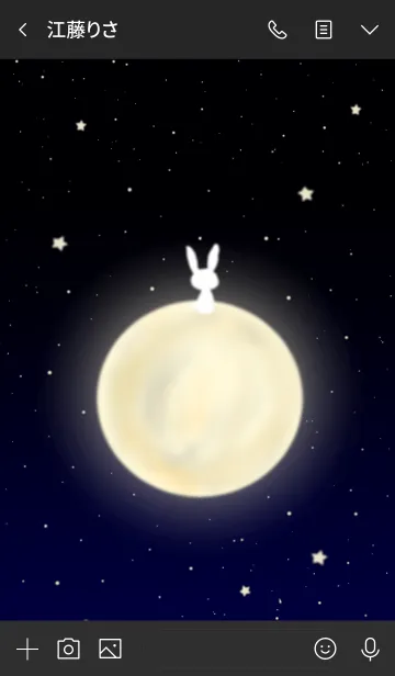 [LINE着せ替え] 月に住むうさぎの画像3