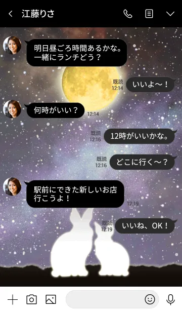 [LINE着せ替え] かわた☆月を見上げるウサギの画像4