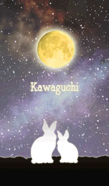 [LINE着せ替え] かわぐち☆月を見上げるウサギの画像1