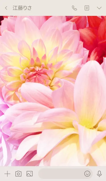 [LINE着せ替え] DAHLIA 2 -flower-の画像3