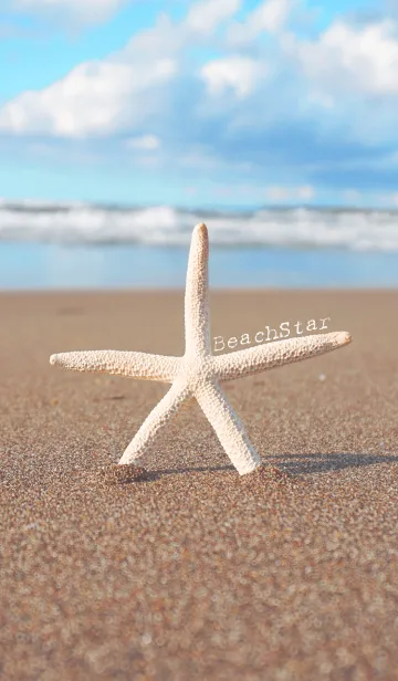 [LINE着せ替え] BeachStarの画像1