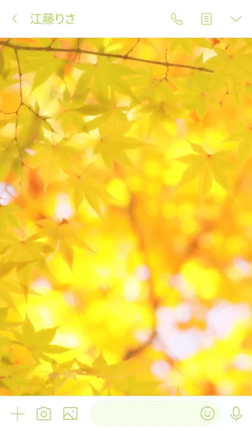 [LINE着せ替え] 秋の木漏れ日 - 黄紅葉 -の画像3