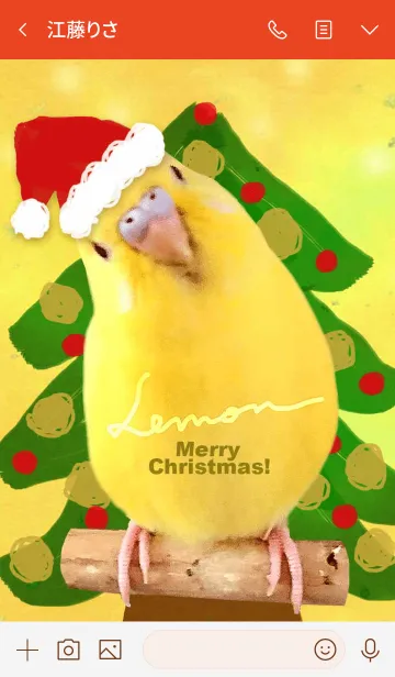 [LINE着せ替え] セキセイインコ レモン "クリスマス"の画像3