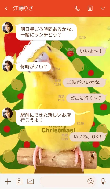[LINE着せ替え] セキセイインコ レモン "クリスマス"の画像4