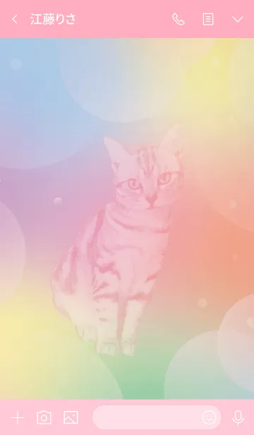 [LINE着せ替え] Rainbow and Cat #イラストの画像3