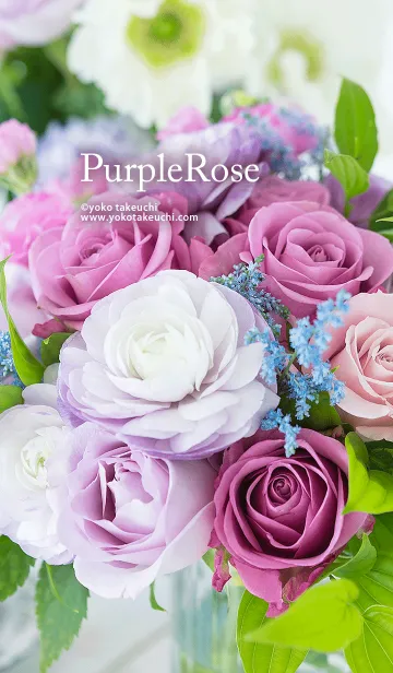 [LINE着せ替え] Purple Rose ～紫のバラのアレンジ～の画像1