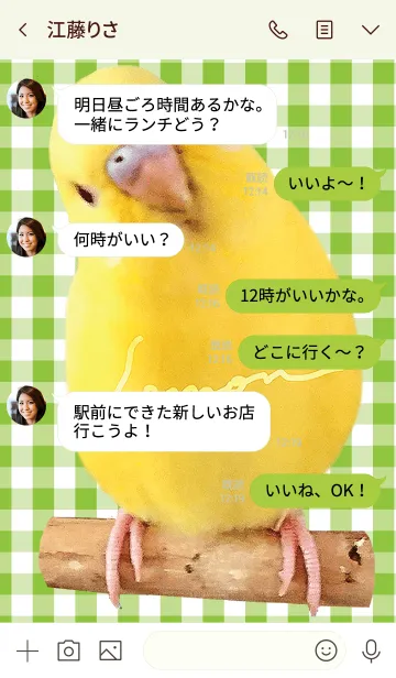 [LINE着せ替え] セキセイインコ レモン "チェックグリーン"の画像4