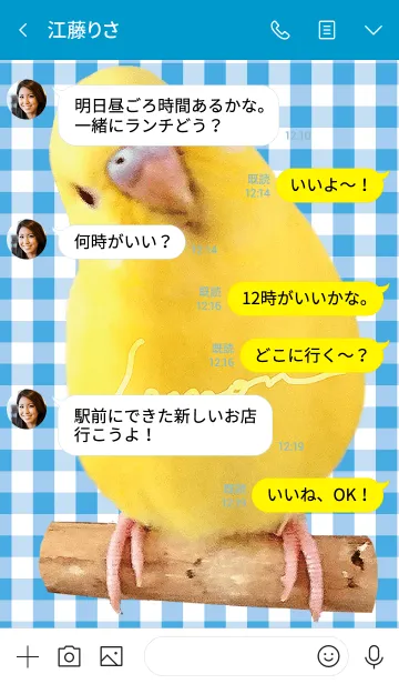 [LINE着せ替え] セキセイインコ レモン "チェックブルー"の画像4