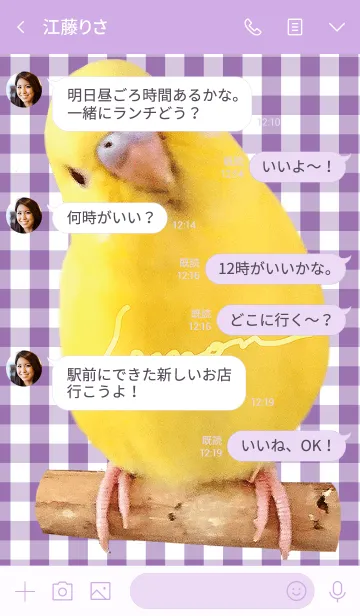 [LINE着せ替え] セキセイインコ レモン "チェックパープル"の画像4