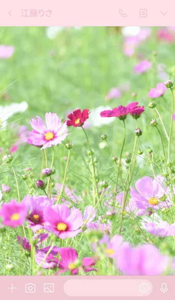 [LINE着せ替え] -- Cosmos -- 13の画像3