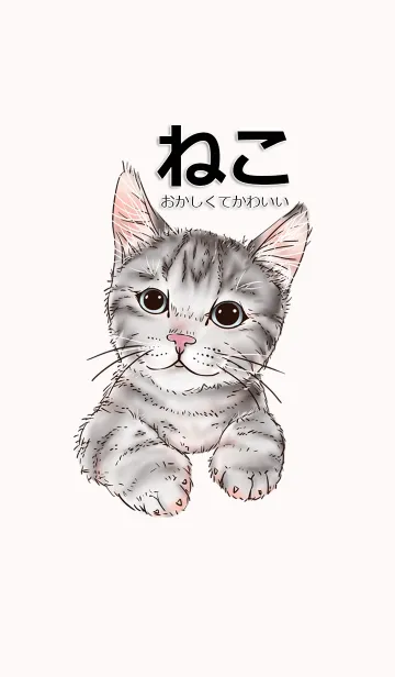 [LINE着せ替え] 猫 面白いとかわいいの画像1