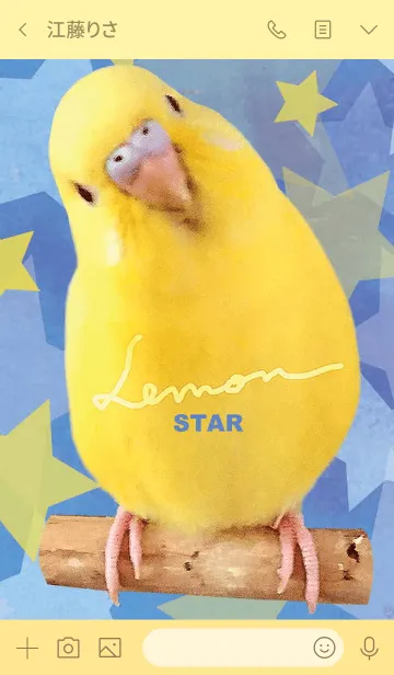 [LINE着せ替え] セキセイインコ レモン "星"の画像3