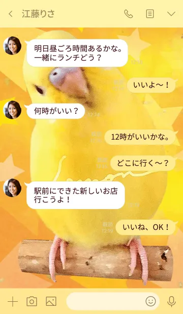 [LINE着せ替え] セキセイインコ レモン "星オレンジ"の画像4