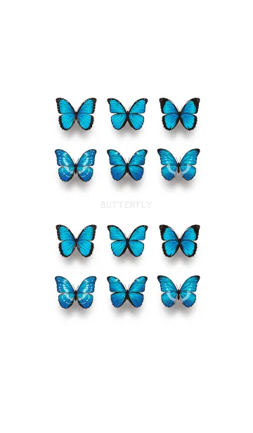 [LINE着せ替え] Butterfly - モルフォ蝶 -の画像1