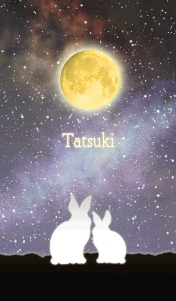 [LINE着せ替え] たつき☆月を見上げるウサギの画像1