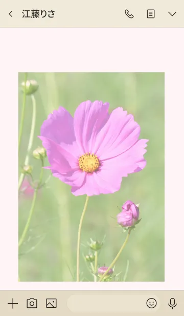 [LINE着せ替え] -- Cosmos -- 16の画像3