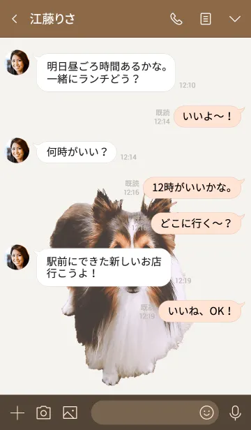 [LINE着せ替え] かわいいシェルティの着せかえの画像4