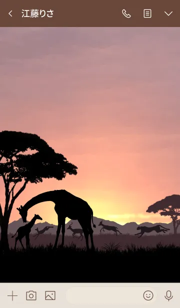 [LINE着せ替え] African Savanna Daybreakの画像3