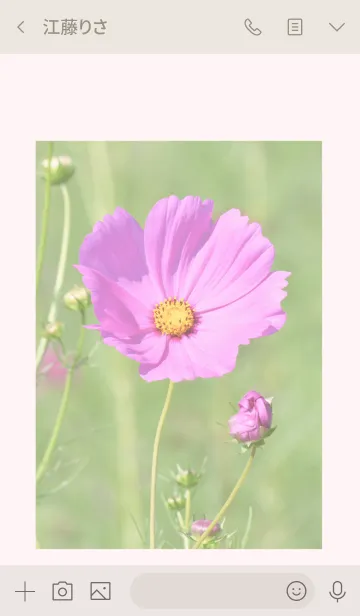 [LINE着せ替え] -- Cosmos -- 20の画像3