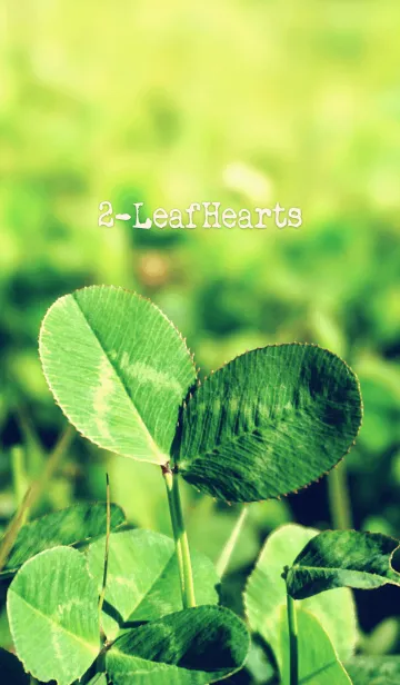 [LINE着せ替え] 2-LeafHeartsの画像1