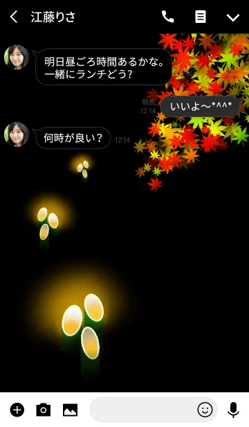 [LINE着せ替え] 古都の秋の夜の画像3