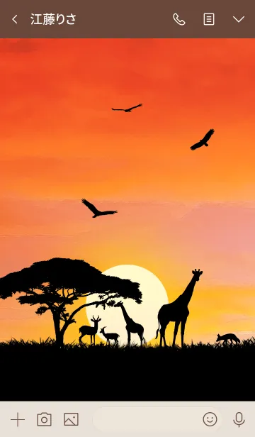 [LINE着せ替え] African Savanna Sunsetの画像3