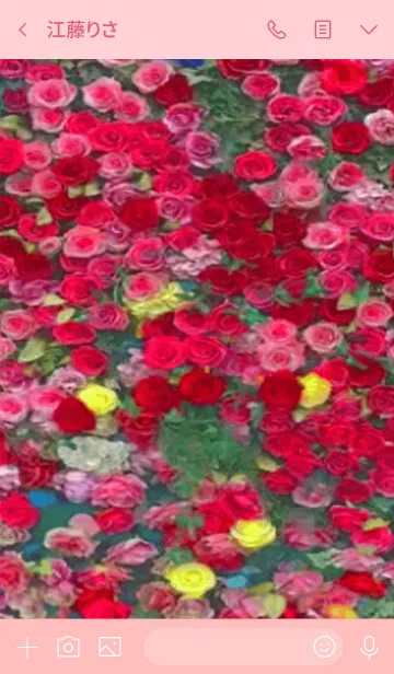 [LINE着せ替え] 可愛い花たちの画像3