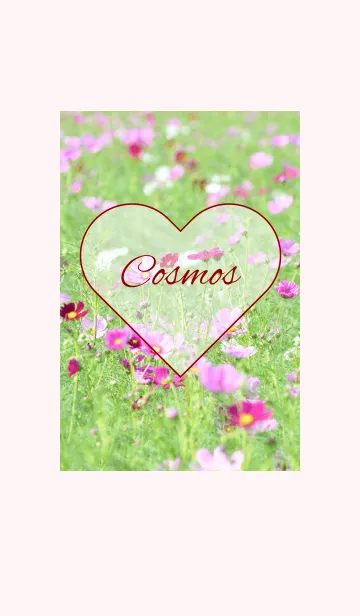 [LINE着せ替え] -- Cosmos -- 24の画像1