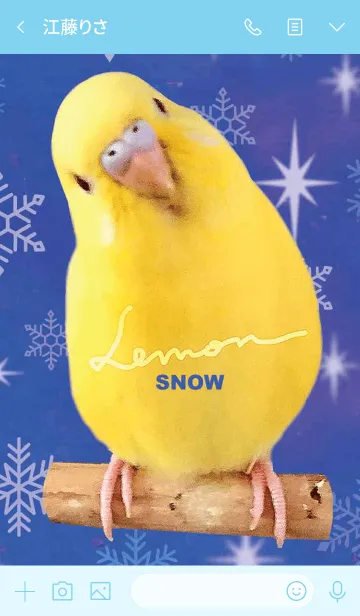 [LINE着せ替え] セキセイインコ レモン "雪"の画像3