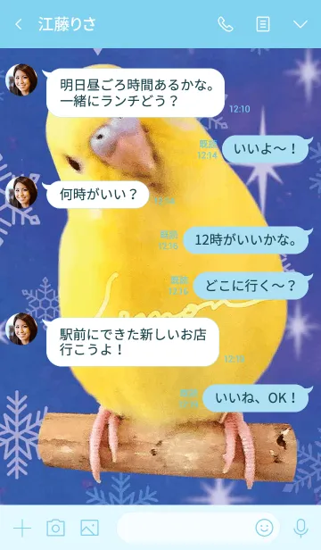 [LINE着せ替え] セキセイインコ レモン "雪"の画像4