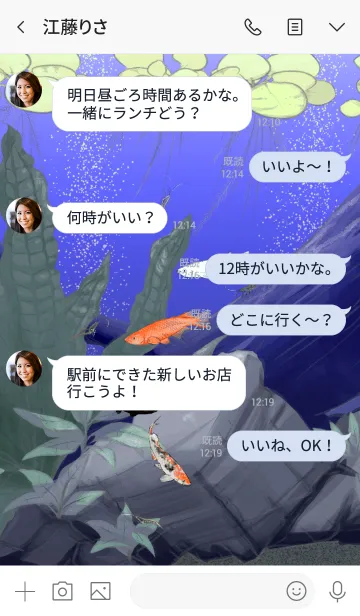 [LINE着せ替え] メダカとミナミヌマエビの画像4