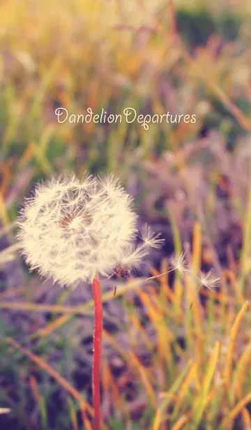 [LINE着せ替え] DandelionDeparturesの画像1