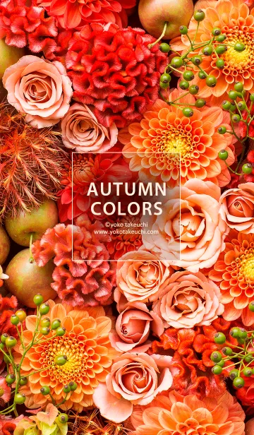 [LINE着せ替え] 秋のプランツ - AUTUMUN COLORSの画像1