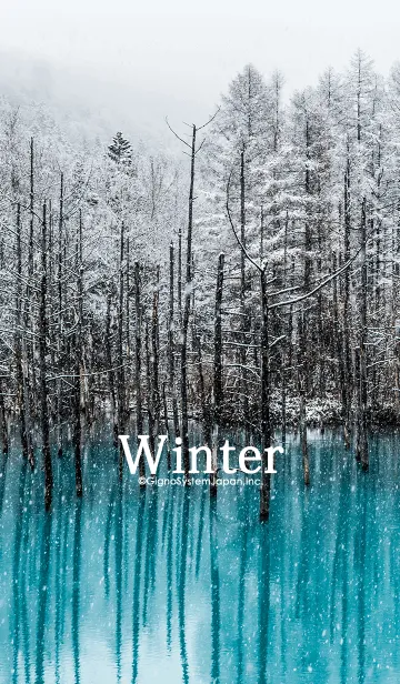 [LINE着せ替え] 幻想的な冬の湖の画像1
