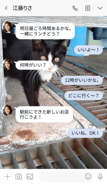 [LINE着せ替え] 野良の子猫.の画像4