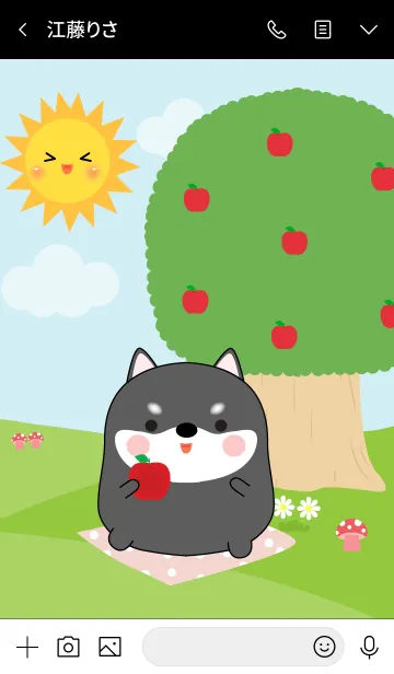 [LINE着せ替え] Fat Black Shiba Inu in Forest Theme (jp)の画像3