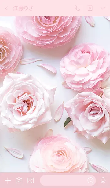 [LINE着せ替え] Angel's Rose ～優しいピンクのバラ～の画像3