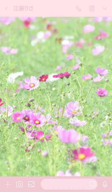 [LINE着せ替え] -- Cosmos -- 42の画像3