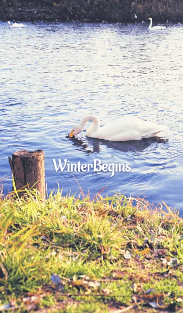 [LINE着せ替え] WinterBeginsの画像1