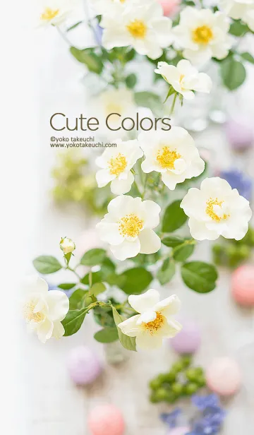 [LINE着せ替え] Cute colors -小さな花のきせかえ-の画像1