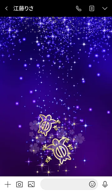 [LINE着せ替え] 運気アップ金亀*ハワイ＊ALOHA+95 #2020の画像3