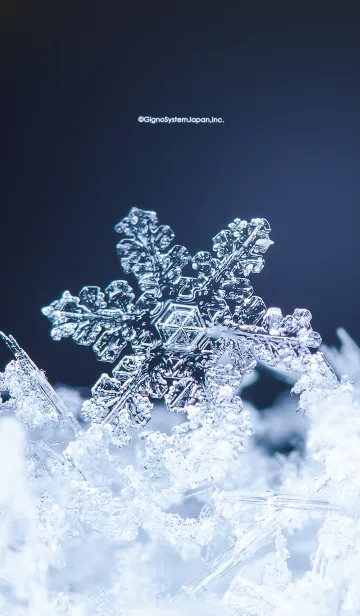 [LINE着せ替え] 幻想的な雪の結晶の画像1