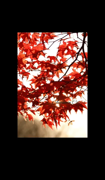 [LINE着せ替え] -- Autumn Colors -- 17の画像1