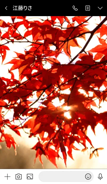 [LINE着せ替え] -- Autumn Colors -- 17の画像3