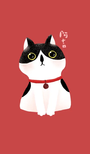 [LINE着せ替え] A-Ji catの画像1