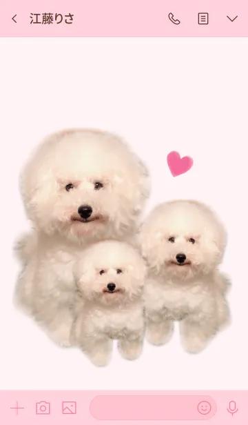 [LINE着せ替え] ふわふわトイプードル#2020の画像3