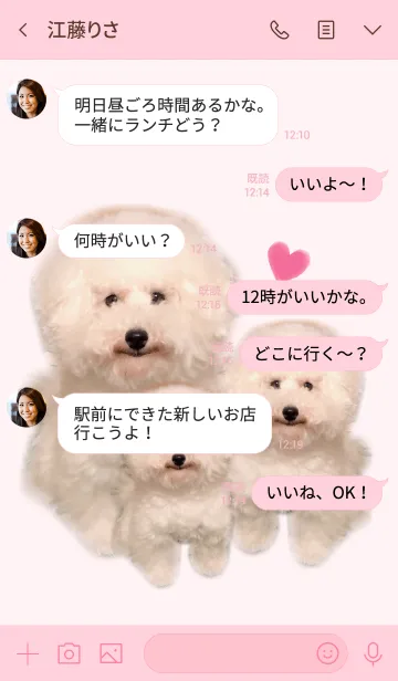 [LINE着せ替え] ふわふわトイプードル#2020の画像4