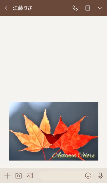 [LINE着せ替え] -- Autumn Colors -- 14の画像3