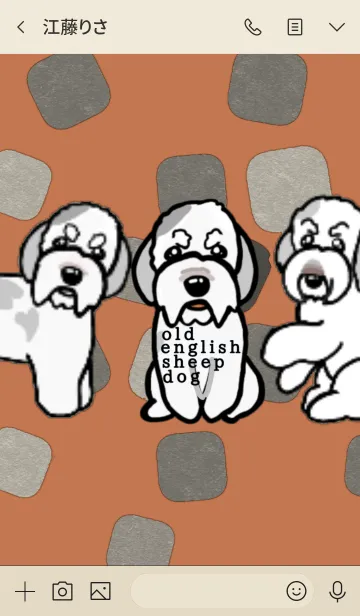 [LINE着せ替え] オールド イングリッシュ シープ ドック 犬の画像3